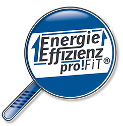 Energieeffizienz mit Profit